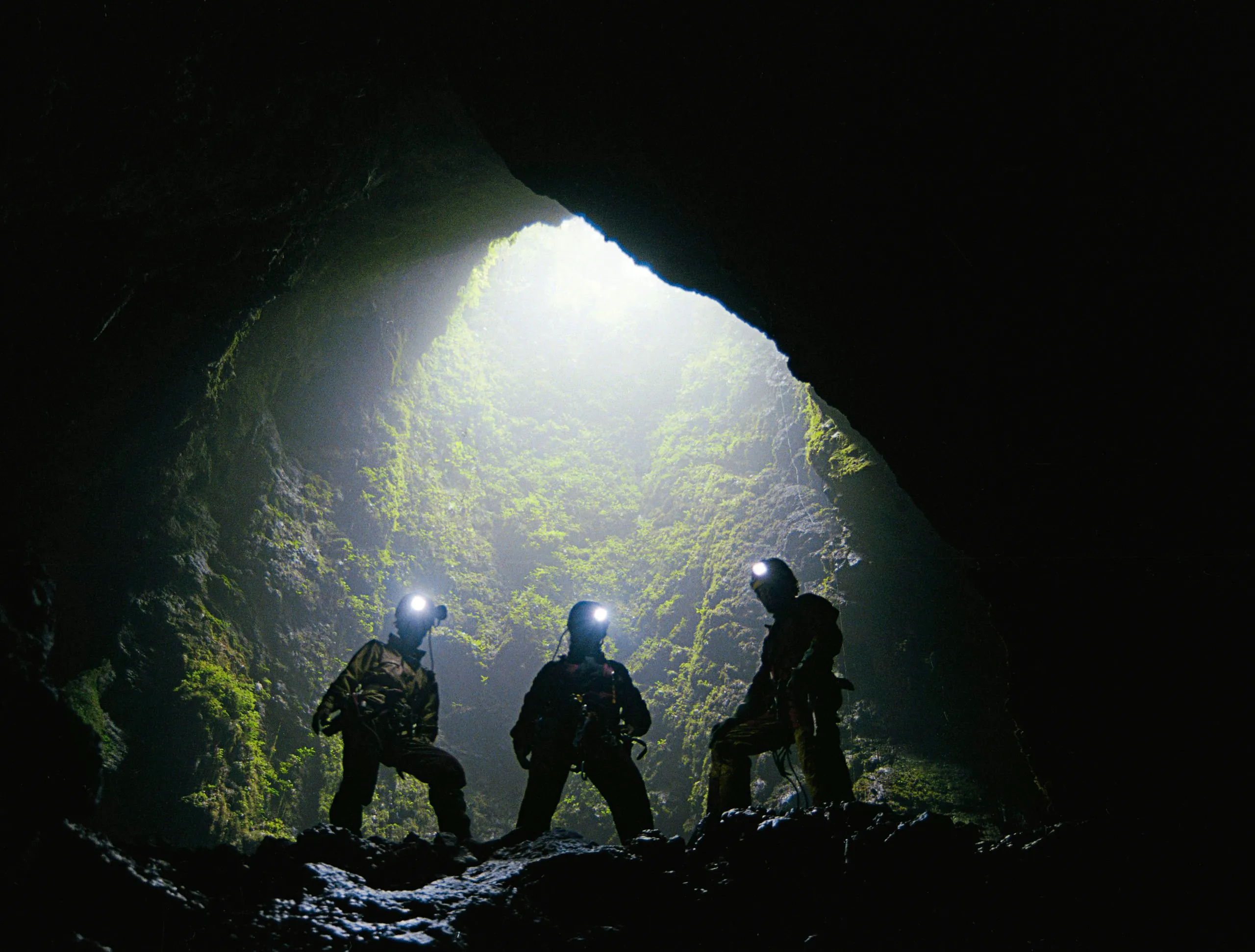 If you were stuck in a cave, without light, for a whole year, what would you do to keep yourself from going insane?